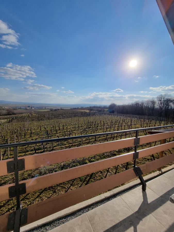 Kuca Za Odmor Baron Villa Kutjevo Exterior photo