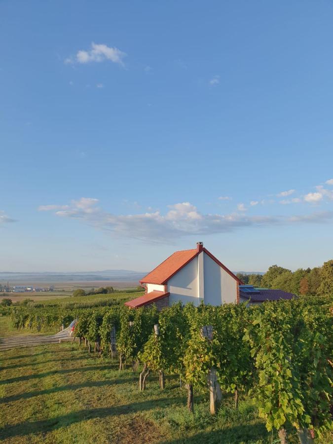 Kuca Za Odmor Baron Villa Kutjevo Exterior photo